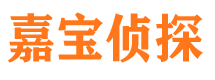 雅江市私家侦探